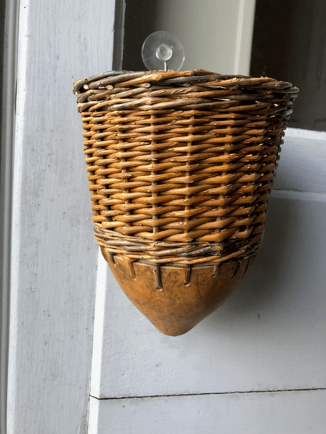 Contenant osier/gourde