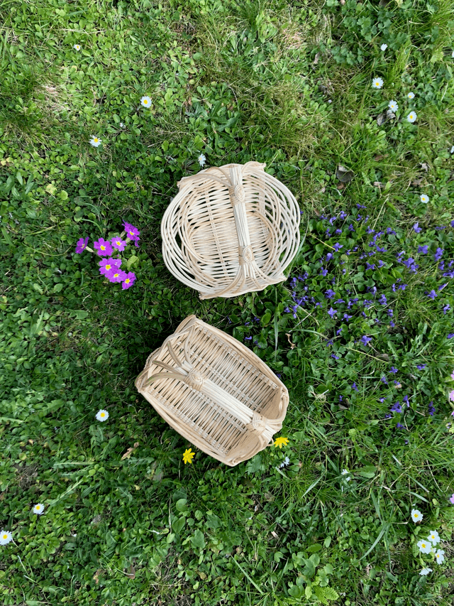 Stage vannerie : panier zarzo (1/2 journée)